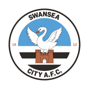 maillot swansea 2024 2025